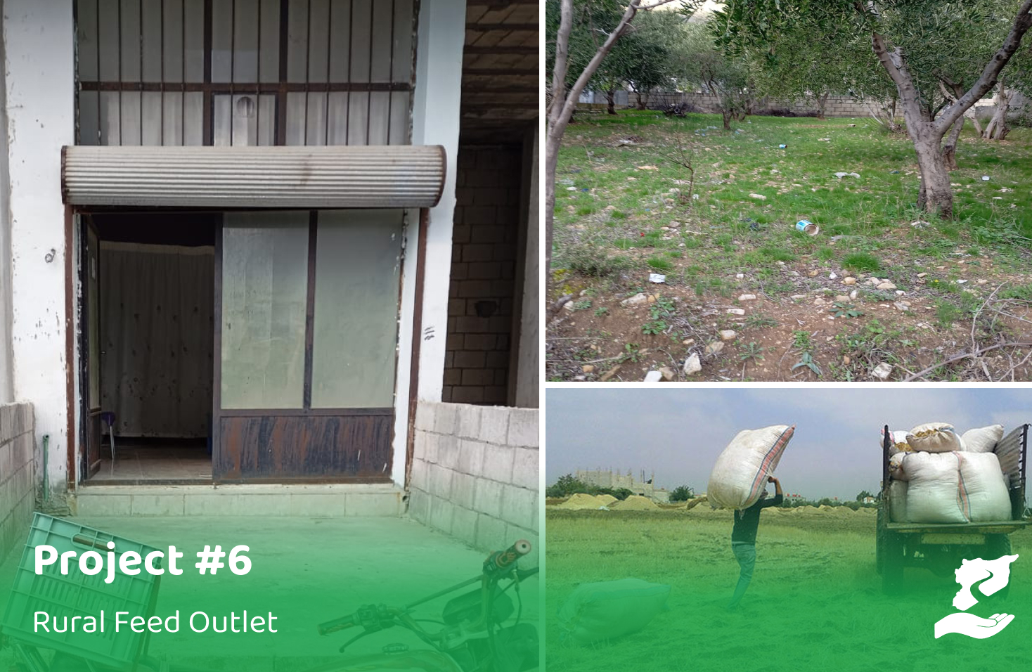 Feed Sales and Distribution Outlet – Masyaf Rural