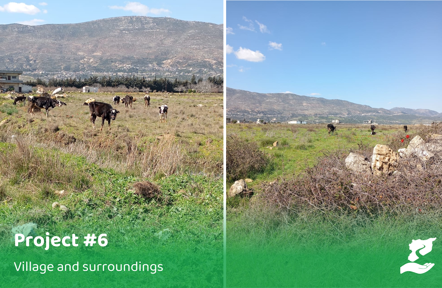 منفذ بيع وتوزيع الأعلاف - ريف مصياف