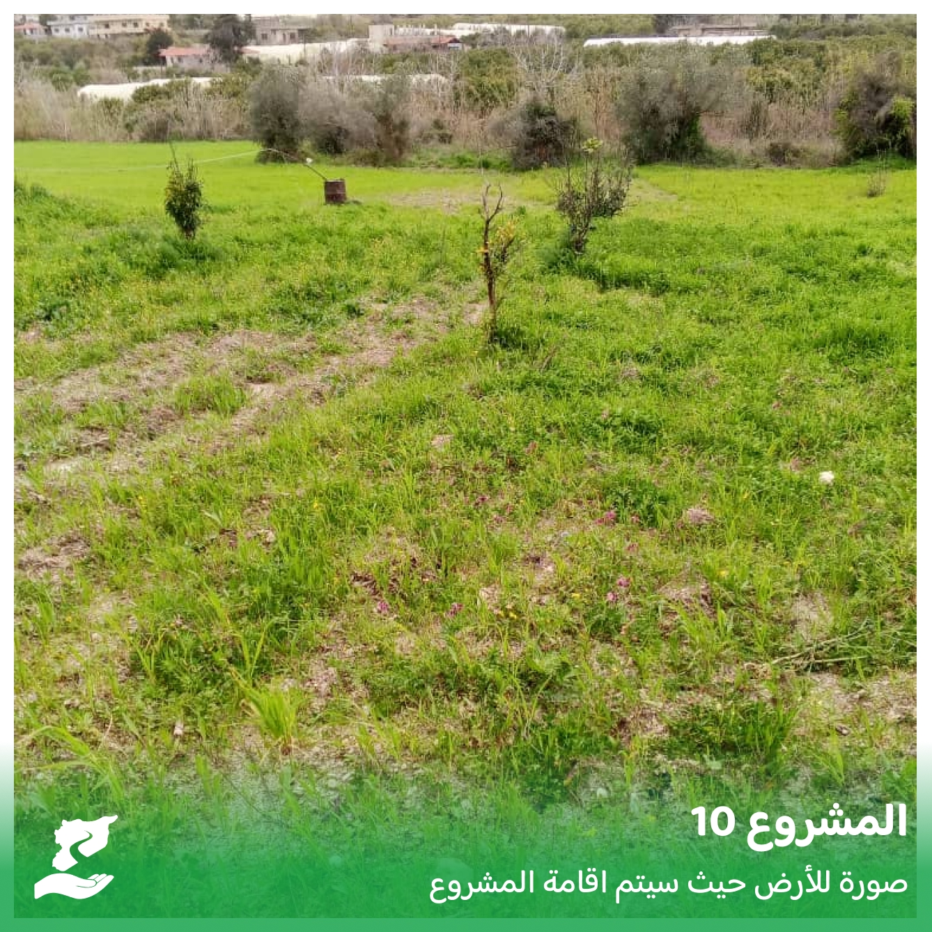 مشتل صغير لإنتاج الورد والزهور في صالة محمية – كفردبيل