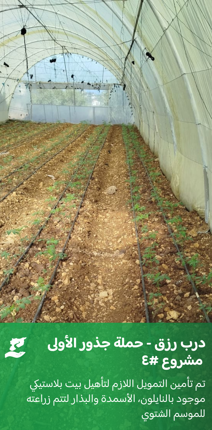 المشروع الرابع